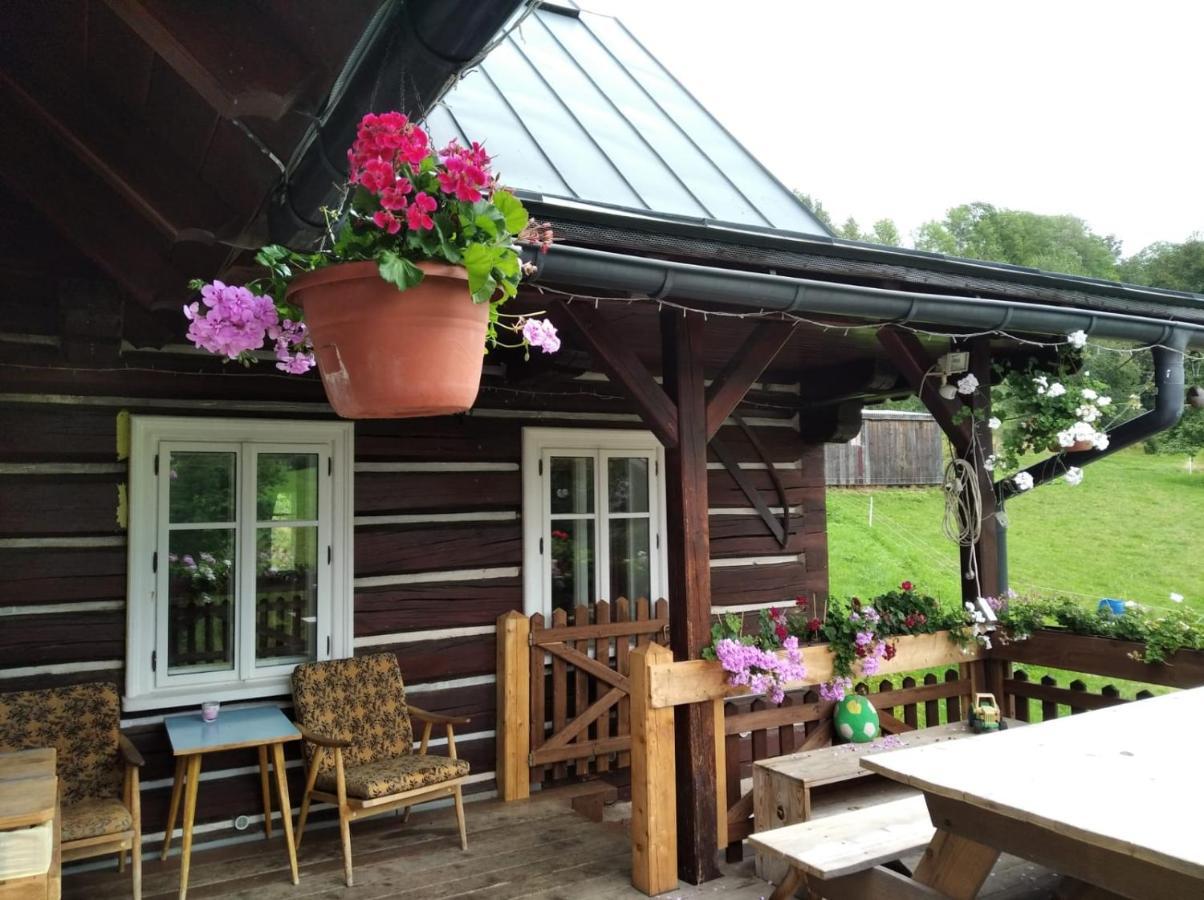 Apartament Frantiskov 17 Rokytnice nad Jizerou Zewnętrze zdjęcie