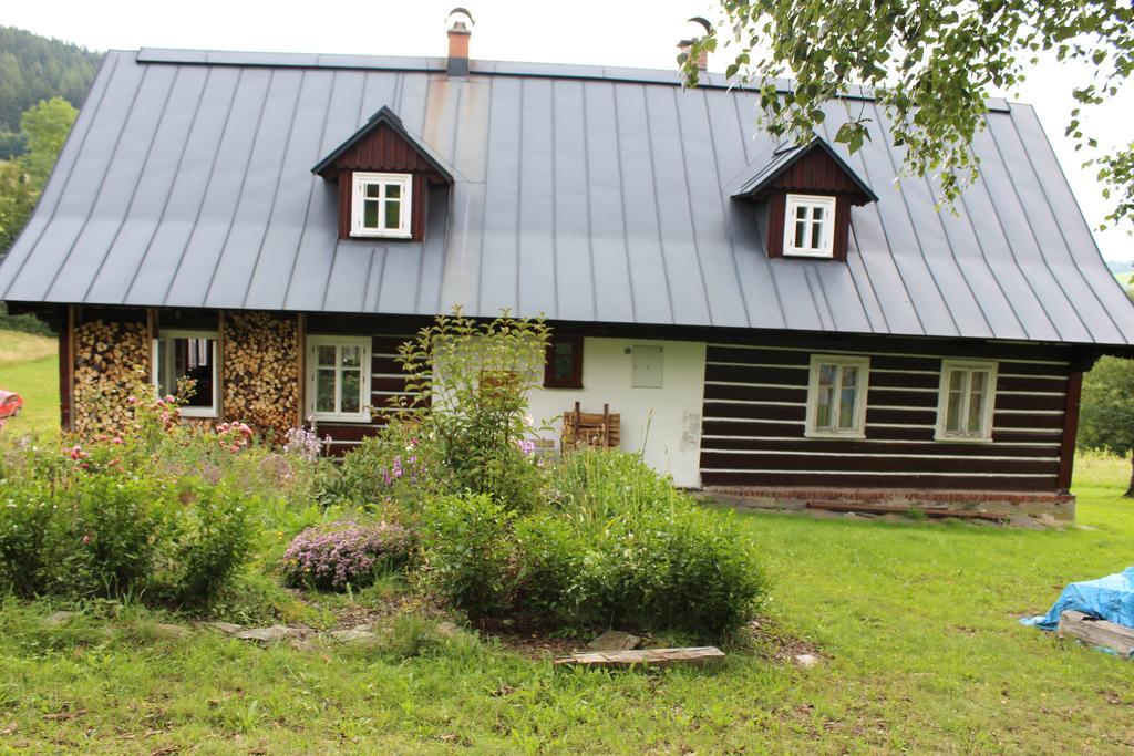 Apartament Frantiskov 17 Rokytnice nad Jizerou Zewnętrze zdjęcie
